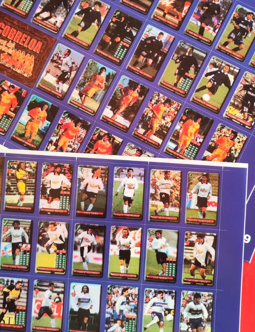 Álbum Campeonato Nacional...
